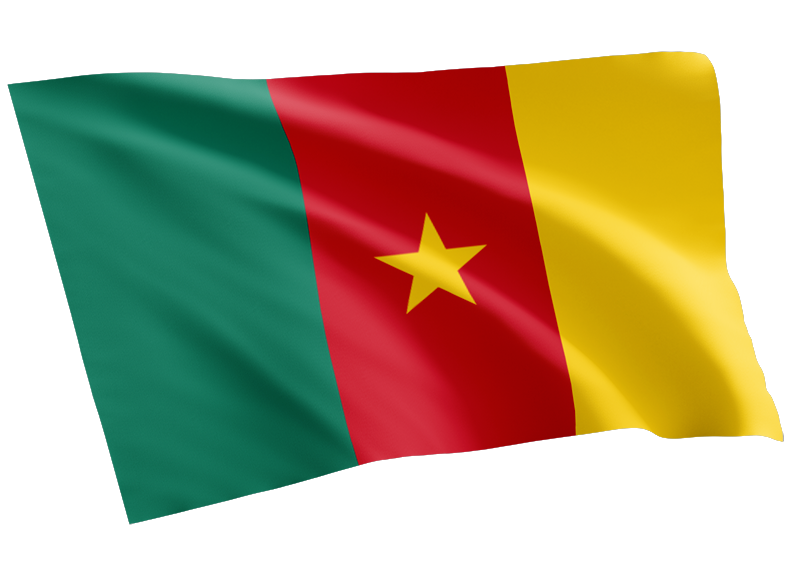 Cameroon-waving-flag
